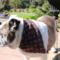 Dog Bandana Brown Inspired - Sister Sue's Closet