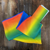 Horse Tail Bag or Man Bag-Rainbow - Sister Sue's Closet