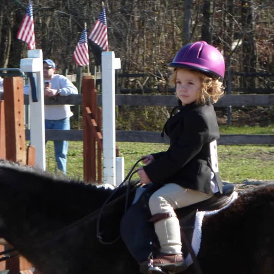 Breitton age 3 during first horse show