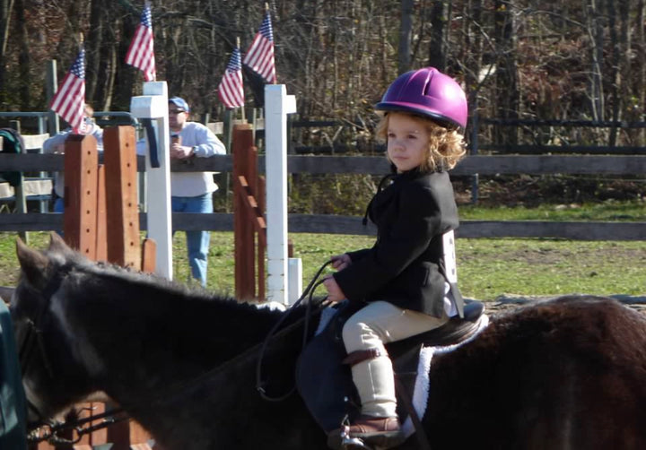Breitton age 3 during first horse show