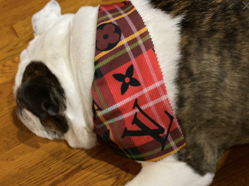 Dog Bandana Red Monogram Inspired Holiday - Sister Sue's Closet