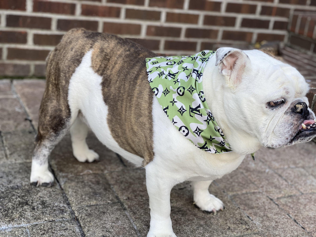 Dog Bandana Camo Monogram Inspired - Sister Sue's Closet